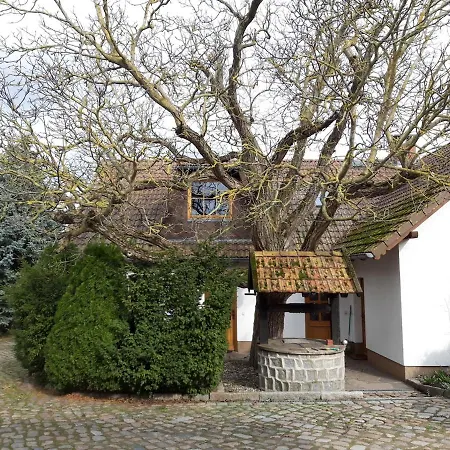 Ein Bett Im Kornfeld - Haus Fernweh - Innenpool * Schonfeld (Mecklenburgische Seenplatte)